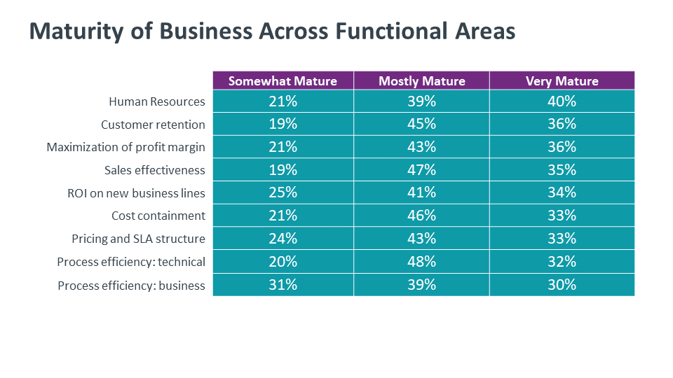 Maturity of Business Across Functional Areas