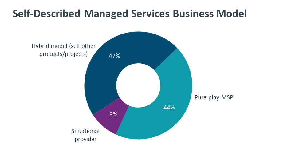 Self-Described Managed Services Business Model